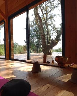 stage de yoga